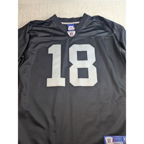 Reebok Stitched‎ Randy Moss  Oakland Raiders Vintage NFL Football Jersey XL - Picture 1 of 14